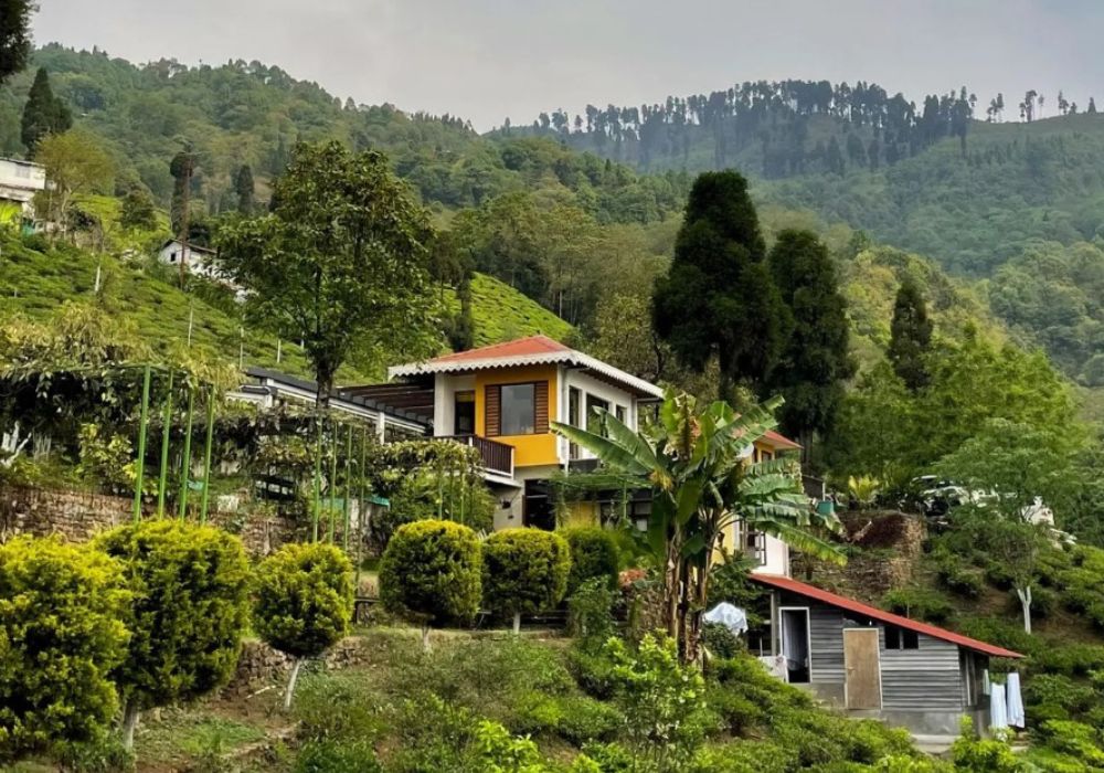 Accommodation Options in Darjeeling