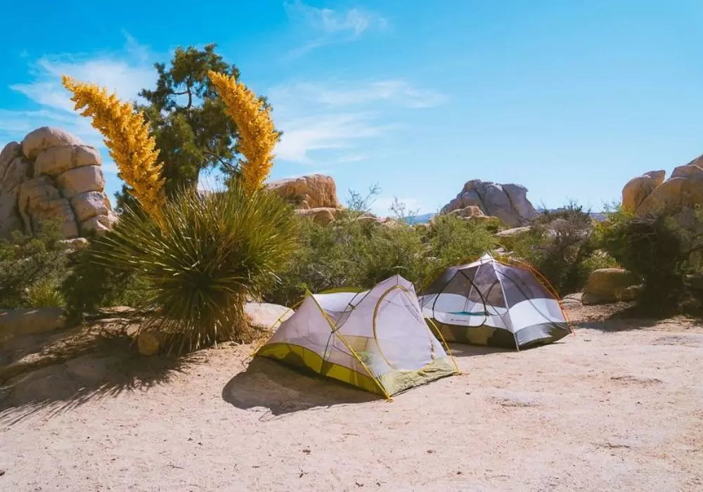 Joshua Tree National Park