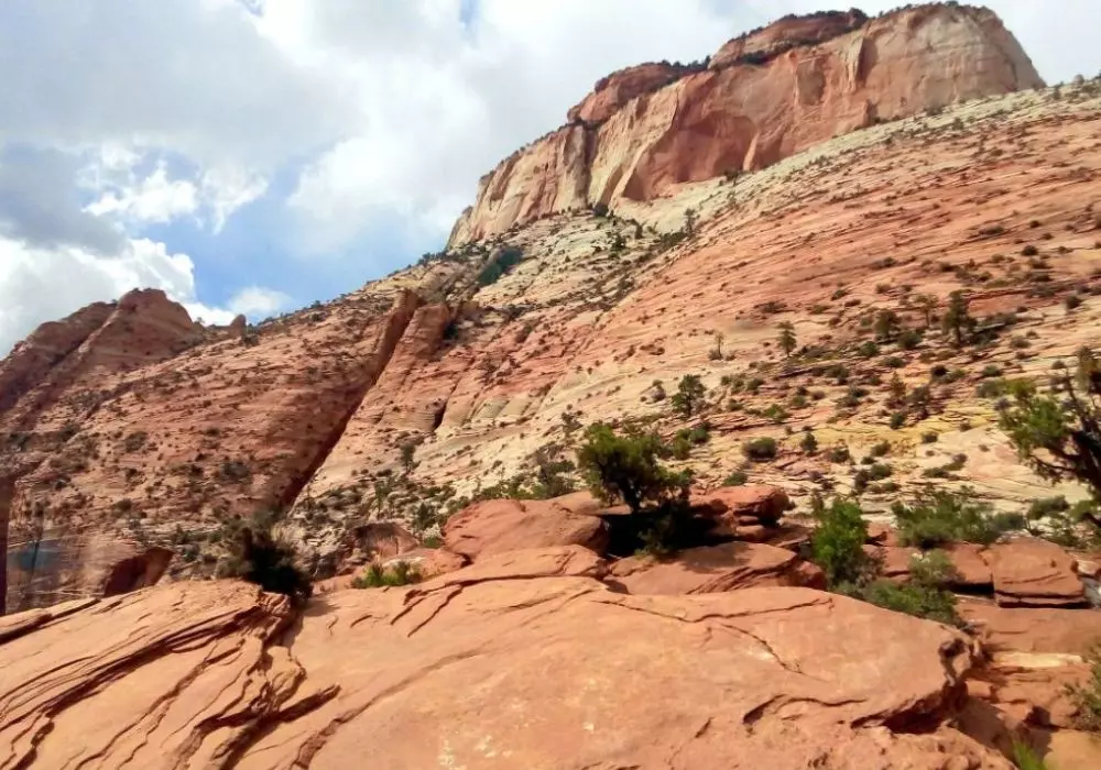 Zion National Park