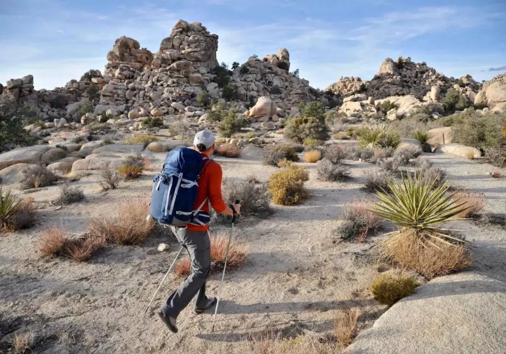 Joshua Tree National Park