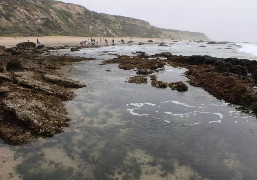 Crystal Cove State Park