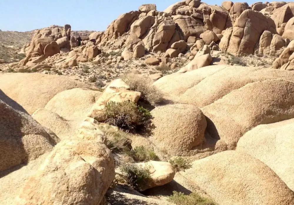 Joshua Tree National Park