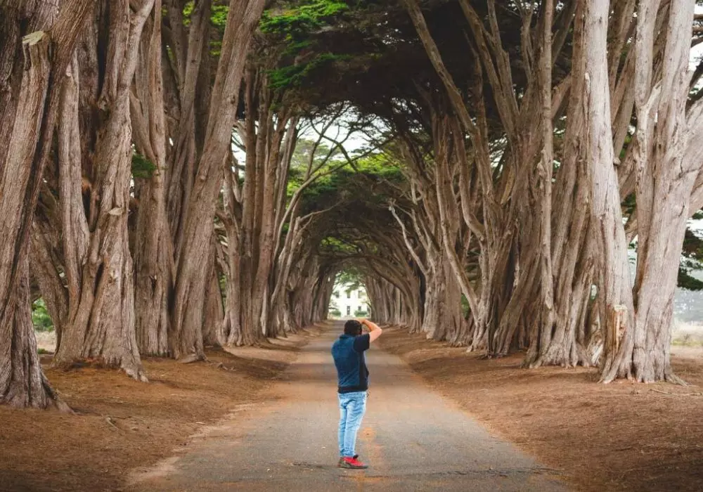 Point Reyes National Seashore