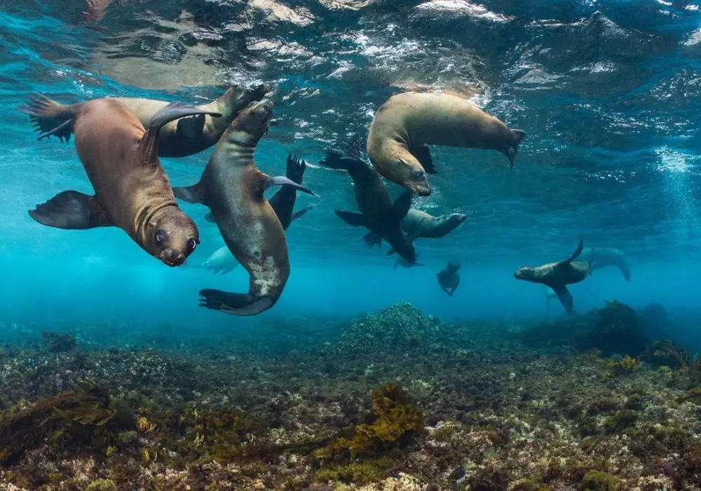 Channel Islands National Park